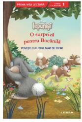 Disney Iepurasi. O surpriza pentru Bocanila. Povesti cu litere mari de tipar (ISBN: 9786063398735)
