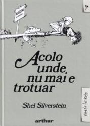 Acolo unde nu mai e trotuar (ISBN: 9786060868330)