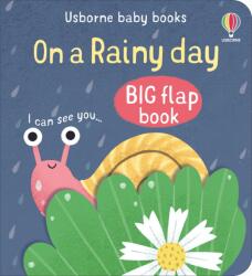 Mary Cartwright (Author), Katie Turner (Illustrator): It's A Rainy Day Big Flap Book (ISBN: 9781803704708)