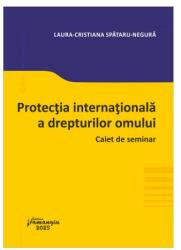 Protecția internațională a drepturilor omului (ISBN: 9786062722371)