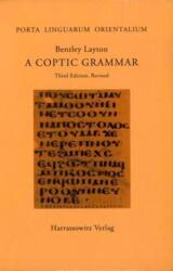 A Coptic Grammar (ISBN: 9783447062008)