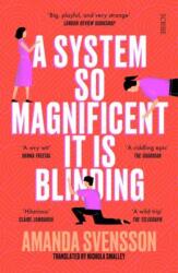 System So Magnificent It Is Blinding - Nichola Smalley (ISBN: 9781914484872)