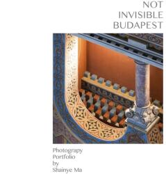 Not Invisible Budapest (ISBN: 9789635743483)