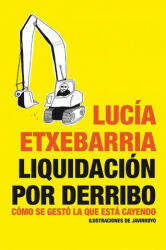 Liquidación por derribo : cómo se gestó la que está cayendo - Lucía Etxebarria (ISBN: 9788484532002)