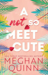 A Not So Meet Cute (ISBN: 9781728294339)