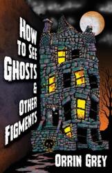 How to See Ghosts & Other Figments (ISBN: 9781956252057)