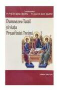 Dumnezeu-Tatal si viata Preasfintei Treimi - Stefan Buchiu (ISBN: 9789731551319)