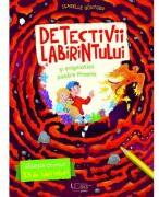 Detectivii labirintului si enigmatica pasare Phoenix - Isabelle Göntgen (ISBN: 9786060962939)