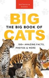 Big Book of Big Cats (ISBN: 9786192640644)
