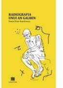 Radiografia unui an galben - Daniel Puia-Dumitrescu (ISBN: 9786060296485)
