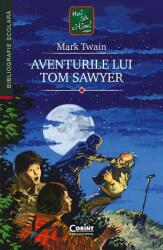 Aventurile lui Tom Sawyer (ISBN: 9786060882817)