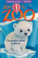 Un ursuleț polar cicălitor (ISBN: 9786063374531)