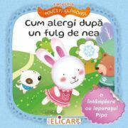 Cum alergi dupa un fulg de nea. O intamplare cu iepurasul Pipa (ISBN: 9786067683233)