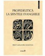 Propedeutica la Sfintele Evanghelii - Alexandru Moldovan (ISBN: 9786065095410)
