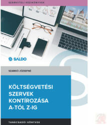 KÖLTSÉGVETÉSI SZERVEK KONTÍROZÁSA A-TÓL Z-IG (ISBN: 9789636386719)