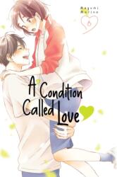 A Condition Called Love 6 (ISBN: 9781646517619)