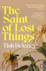 The Saint of Lost Things (ISBN: 9781529158687)
