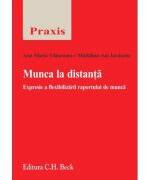 Munca la distanta. Expresie a flexibilizarii raportului de munca - Ana-Maria Vlasceanu, Madalina Ani Iordache (ISBN: 9786061813285)
