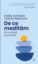 De ce meditam. De la stiinta la practica - Daniel Goleman (ISBN: 9786064414557)