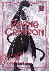 Ragna Crimson 11 (ISBN: 9781646092307)