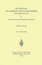 Die Sektion des Gehirns und Rückenmarks und ihrer Hüllen - B. Ostertag (ISBN: 9783540014065)