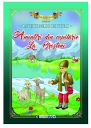 Amintiri din copilărie - La Broșteni (ISBN: 9786069005392)