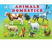 Animale domestice - Titus Stirbu (ISBN: 9789975148115)
