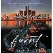 In umbra timpului furat - Silvia D. F (ISBN: 9786306545674)