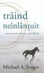 Traind neinlantuit - Michael A. Singer (ISBN: 9786067560558)