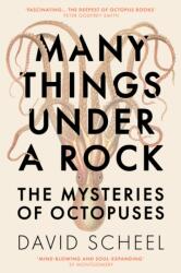 Many Things Under a Rock (ISBN: 9781529392616)