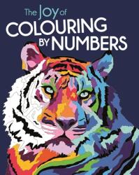 Joy of Colouring by Numbers - Lauren Farnsworth (2023)