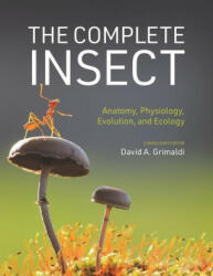 The Complete Insect - Anatomy, Physiology, Evolution, and Ecology - David A. Grimaldi (ISBN: 9780691243108)