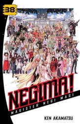 Negima! 38 - Ken Akamatsu (2013)