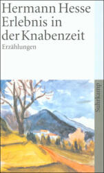 Erlebnis in der Knabenzeit (ISBN: 9783518458013)
