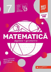 Matematică. Algebră, geometrie. Clasa a VII-a. Standard (ISBN: 9789734739264)