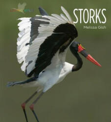 Melissa Gish - Storks - Melissa Gish (ISBN: 9781628321722)