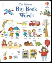 Big Book of Words - Mairi Mackinnon, Kate Hindley (ISBN: 9781805317395)