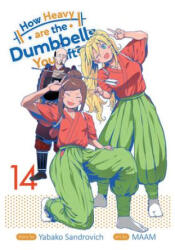 How Heavy Are the Dumbbells You Lift? Vol. 14 - Maam (ISBN: 9781638588313)