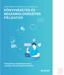 KÖNYVVEZETÉS ÉS BESZÁMOLÓKÉSZÍTÉS PÉLDATÁR (ISBN: 9789636386733)