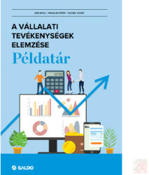 A VÁLLALATI TEVÉKENYSÉGEK ELEMZÉSE PÉLDATÁR (ISBN: 9789636386757)