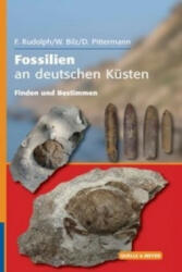 Fossilien an deutschen Küsten - Frank Rudolph, Wolfgang Bilz, Dirk Pittermann (ISBN: 9783494015903)