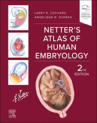 Netter's Atlas of Human Embryology - Larry R. Cochard, Angelique N. Dueñas (ISBN: 9780443117619)