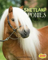 Shetland Ponies - Amanda Parise-Peterson (2018)