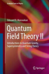 Quantum Field Theory II - EDOUARD B MANOUKIAN (ISBN: 9783319816173)