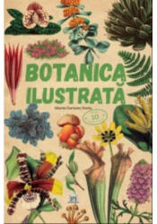 Botanica Ilustrata, Maria Carmen Soria - Editura DPH (ISBN: 5948495008062)