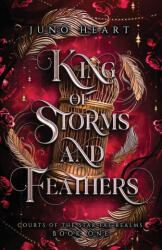 King of Storms and Feathers - Juno Heart (ISBN: 9780645624274)