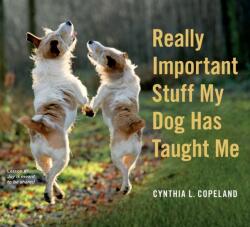 Really Important Stuff My Dog Has Taught Me (ISBN: 9780761181798)