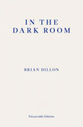 In the Dark Room - Brian Dillon (ISBN: 9781910695722)