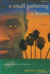 A Small Gathering of Bones (ISBN: 9780807083673)