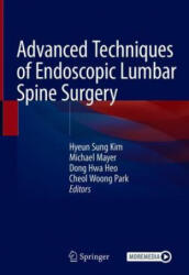 Advanced Techniques of Endoscopic Lumbar Spine Surgery - Michael Mayer, Dong Hwa Heo (ISBN: 9789811582523)